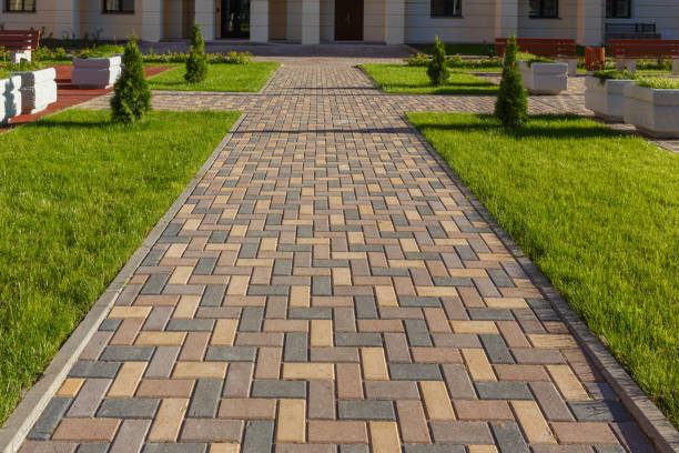 Best Luxury Driveway Paving Solutions in San Luis, AZ